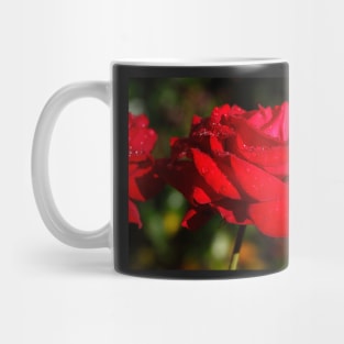 Red Hybrid Tea, Rose, Dewdrops, Flower Mug